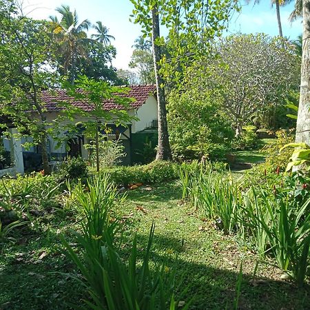 Freedom192 Otel Weligama Dış mekan fotoğraf