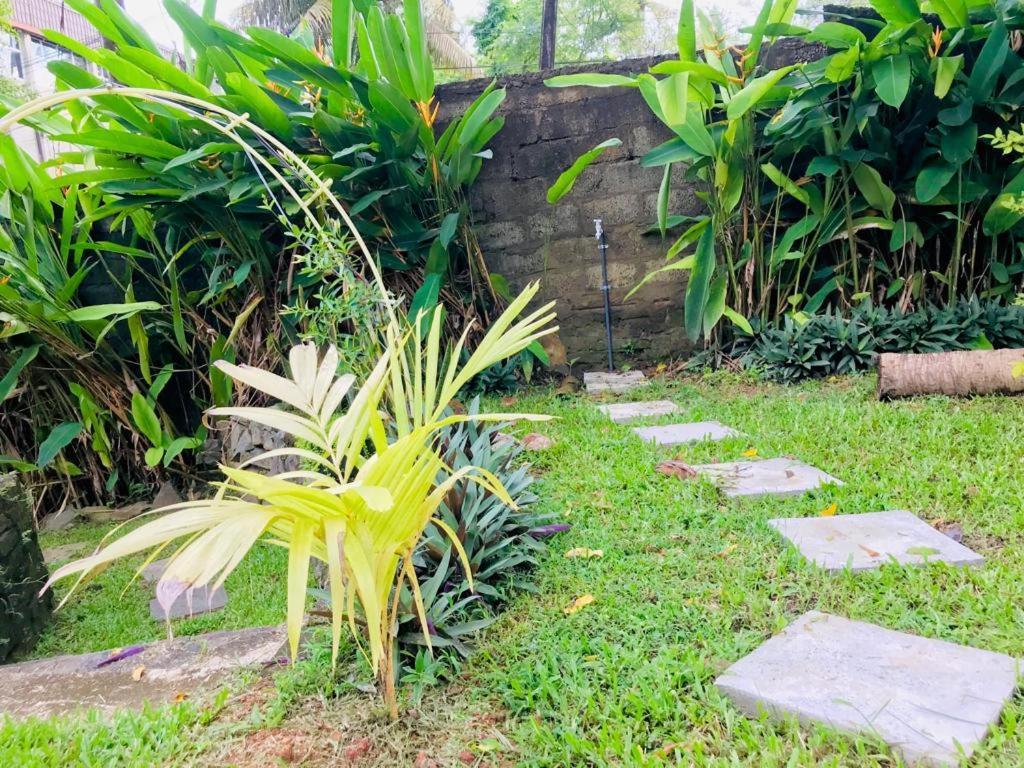 Freedom192 Otel Weligama Dış mekan fotoğraf
