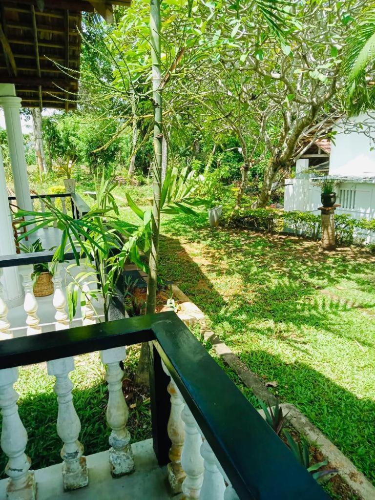 Freedom192 Otel Weligama Dış mekan fotoğraf