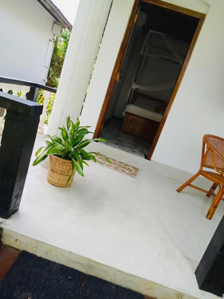 Freedom192 Otel Weligama Dış mekan fotoğraf