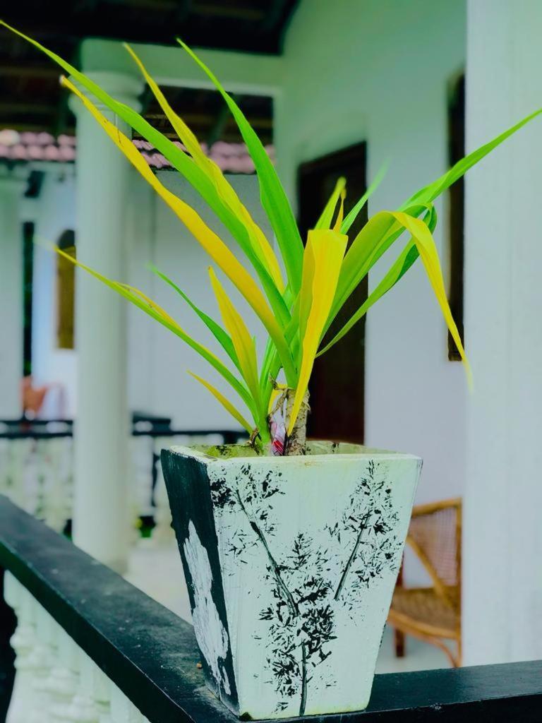 Freedom192 Otel Weligama Oda fotoğraf