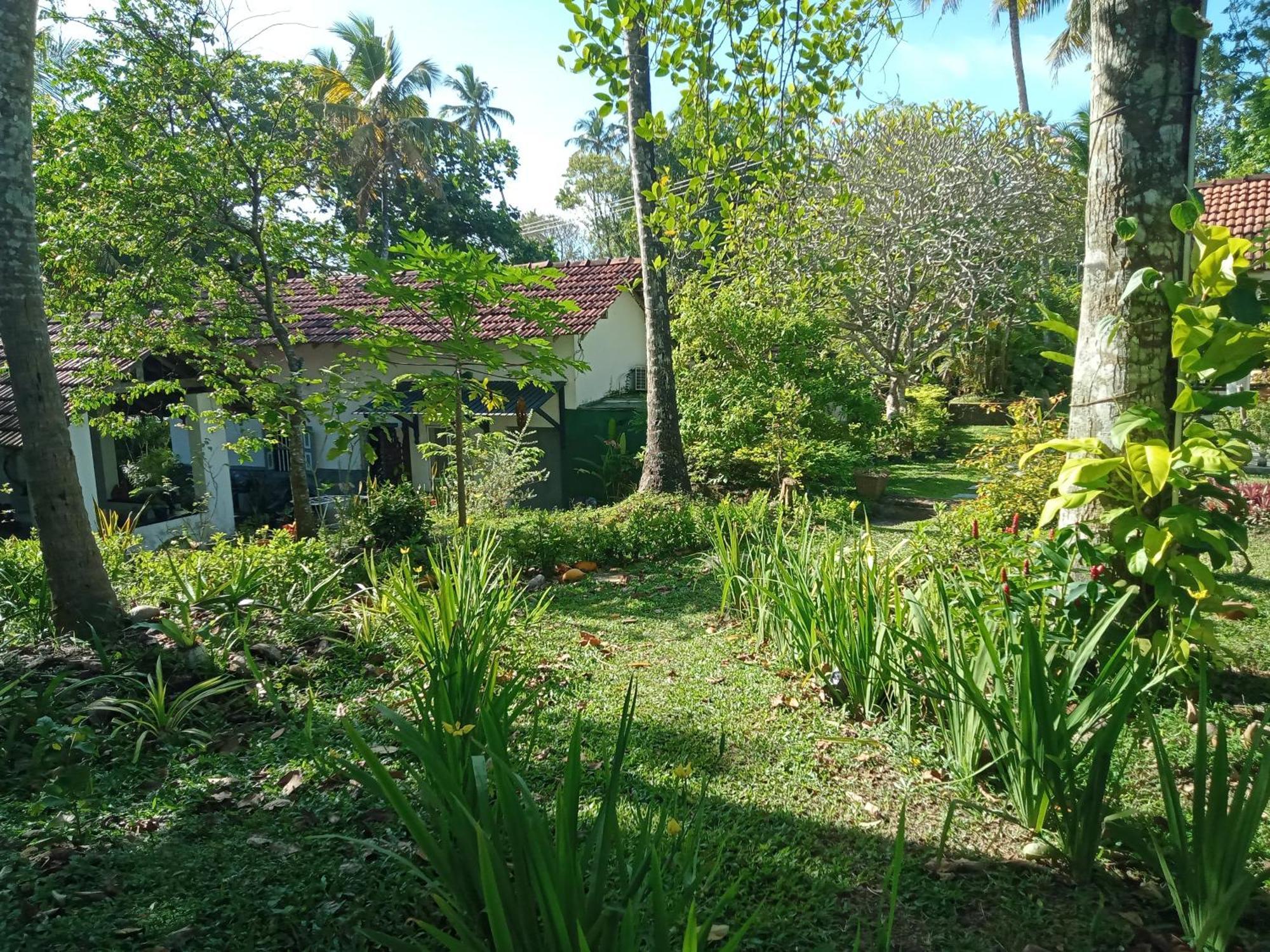 Freedom192 Otel Weligama Dış mekan fotoğraf