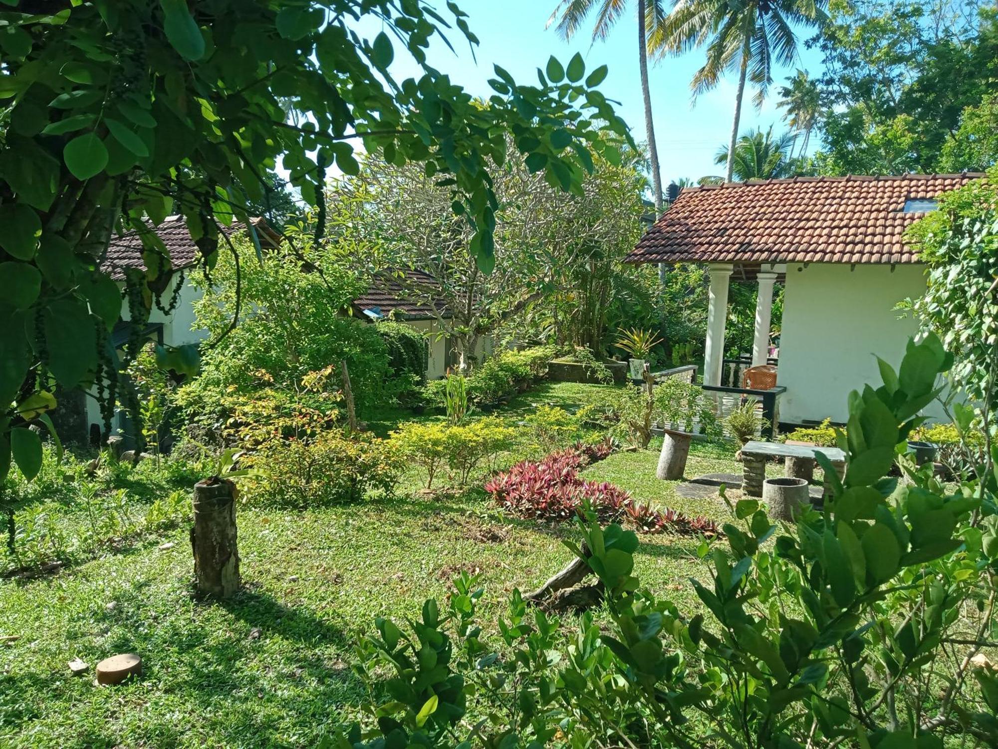 Freedom192 Otel Weligama Dış mekan fotoğraf